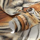 Miniatura fototapety Tygrys wśród paproci i skał fragment #1