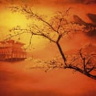 Miniatura fototapety Sakura nad wodą o świcie