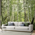 Miniatura fototapety Brzozowy las z zielonym podszytem we wnętrzu salonu