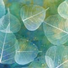 Miniatura fototapety Liście na zielono-niebieskim tle