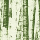 Miniatura fototapety Bambusowy Las w Zielonych Odcieniach