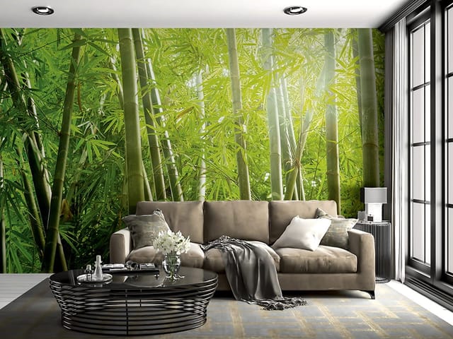 Fototapeta z gęstym lasem bambusowym, zielonymi liśćmi i światłem słonecznym