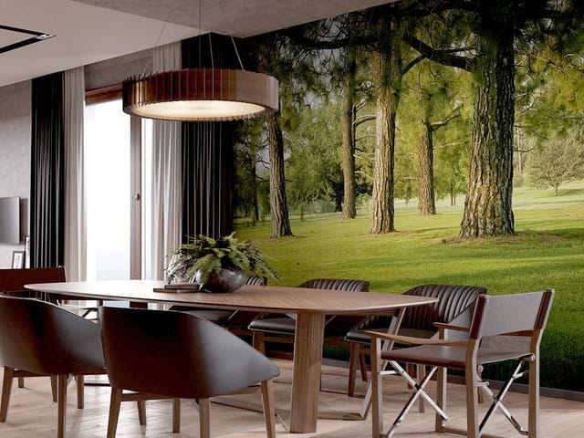 Fototapeta Las o świcie wśród drzew