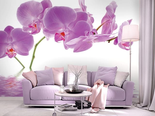 Fototapeta storczyki – fioletowe orchidee nad wodą
