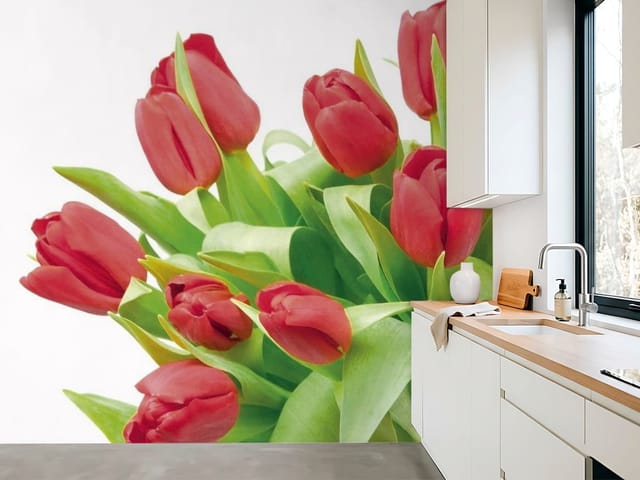 Fototapeta Bukiet czerwonych tulipanów na białym tle (mpn: FT-1244) Fototapeta tulipany – bukiet czerwonych tulipanów z liśćmi
