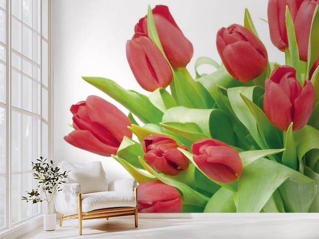 Fototapeta Bukiet czerwonych tulipanów na białym tle (mpn: FT-1244) Fototapeta tulipany – bukiet czerwonych tulipanów z liśćmi