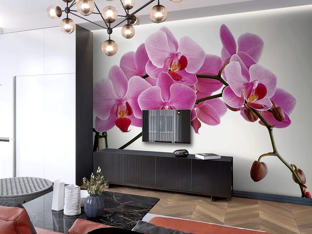 Fototapeta z różowymi kwiatami storczyka na zielonej gałązce i jasnym tle