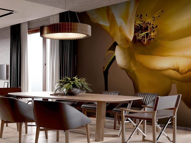 Fototapeta zbliżenie żółtego kwiatu róży z płatkami i pręcikami