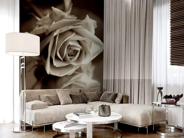 Fototapeta Róża z Odbiciem w Sepii