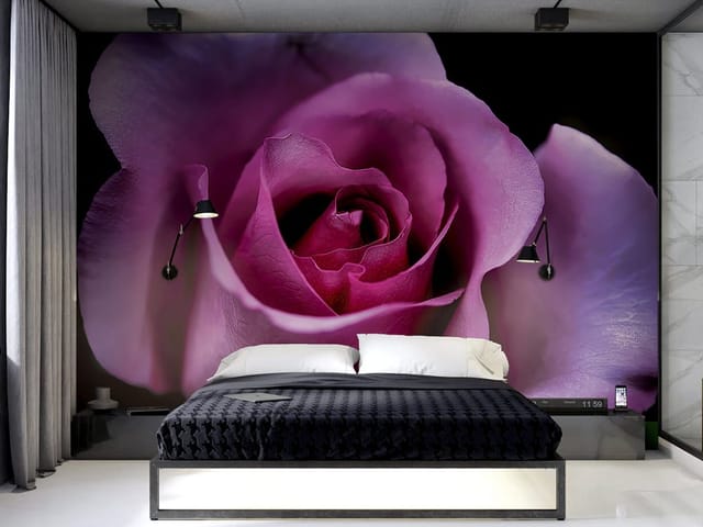 Fototapeta z różowym kwiatem róży, delikatne płatki na ciemnym tle