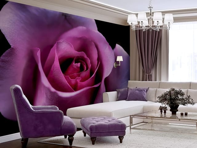 Fototapeta z różowym kwiatem róży, delikatne płatki na ciemnym tle