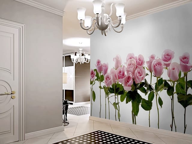 Fototapeta z różowymi różami na białym tle, pełne rozkwitu kwiaty