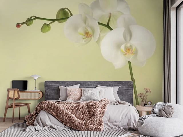 Fototapeta Biała orchidea na łodydze (mpn: FT-2083) Fototapeta storczyki – biała orchidea na łodydze