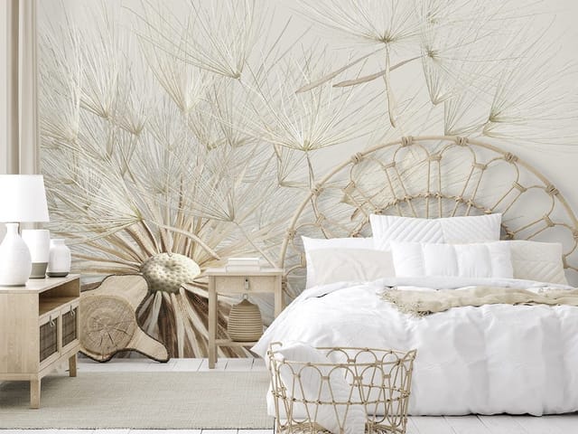 Fototapeta Subtelne dmuchawce w zbliżeniu