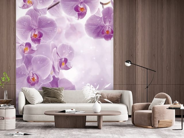Fototapeta Storczyki – fioletowe kwiaty orchidei z kroplami