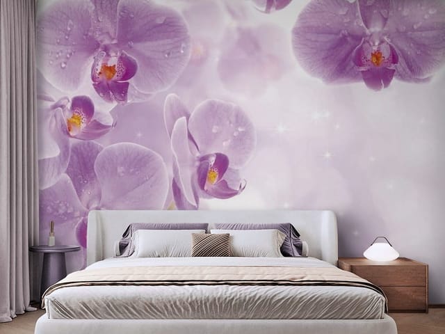 Fototapeta Fioletowe orchidee z kroplami wody (mpn: FT-2135) Fototapeta Storczyki – fioletowe kwiaty orchidei z kroplami