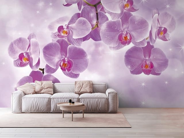 Fototapeta storczyki – fioletowe kwiaty orchidei na gałęzi