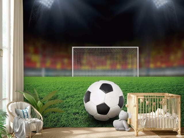 Fototapeta Piłka Nożna – piłka nożna na murawie stadionu