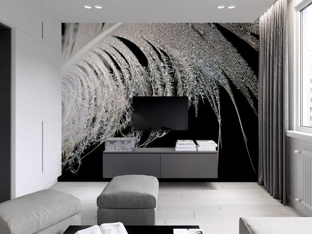 Fototapeta z piórem pokrytym kroplami wody na ciemnym tle