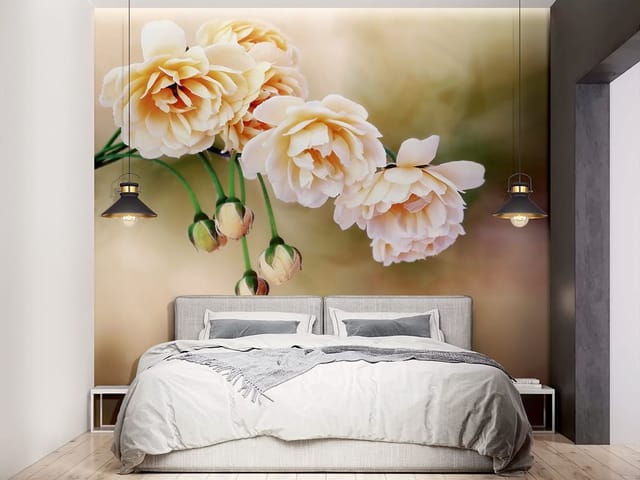 Fototapeta z kremowymi różami na rozmytym tle