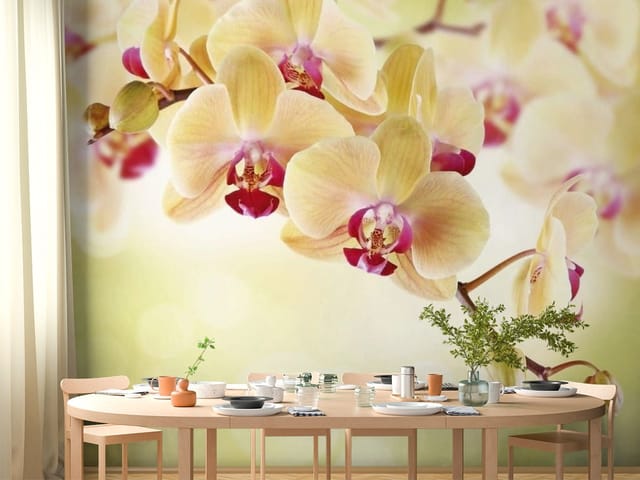 Fototapeta Orchidee w pastelowych barwach (mpn: FT-2326) Fototapeta Storczyki – gałąź z kwiatami orchidei w pastelach