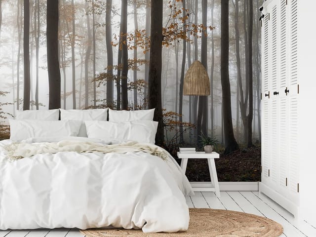 Fototapeta Tajemniczy Las z Mgłą