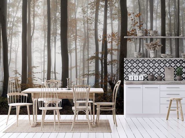 Fototapeta Tajemniczy Las z Mgłą (kod: 24121) Fototapeta Tajemniczy Las z Mgłą