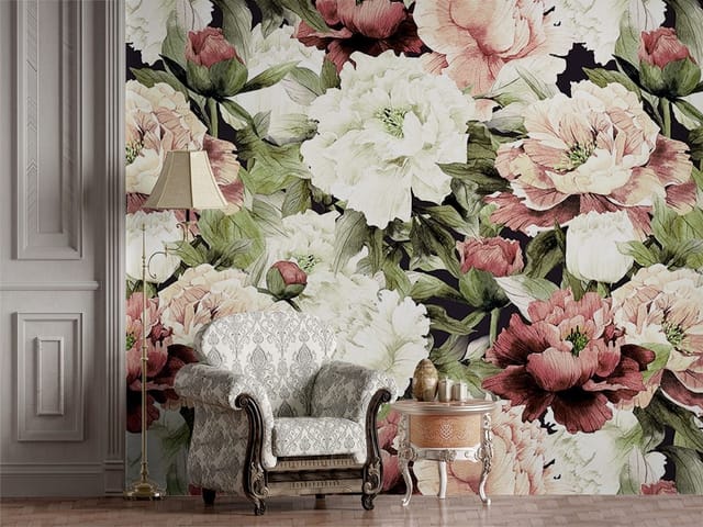 Fototapeta z dużymi kwiatami piwonii w różu i bieli na ciemnym tle