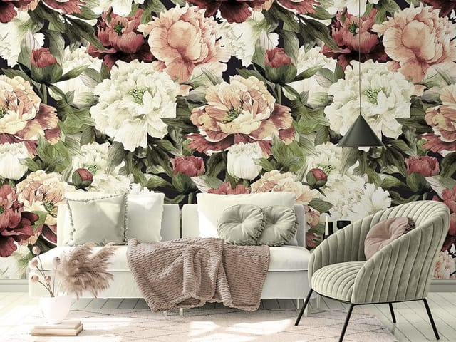 Fototapeta z dużymi kwiatami piwonii w różu i bieli na ciemnym tle