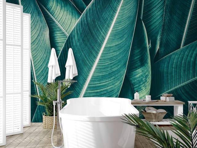 Fototapeta Zielone liście z wyraźnym żyłkowaniem