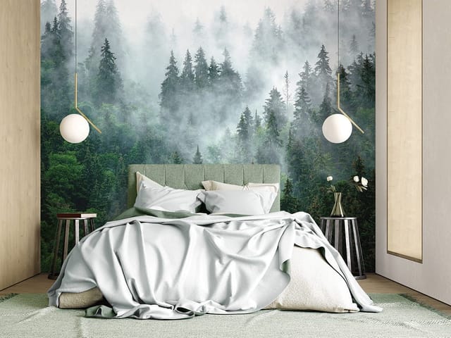 Fototapeta Mglisty las iglasty