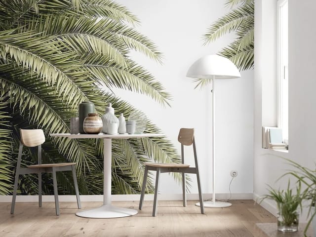 Fototapeta z zielonymi liśćmi palmowymi na tle jasnego nieba