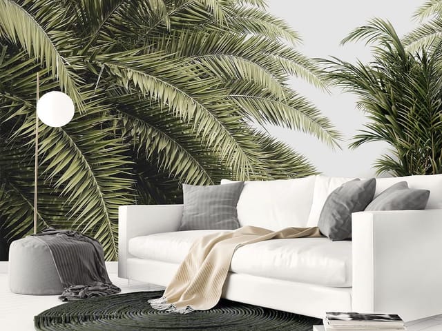 Fototapeta z zielonymi liśćmi palmowymi na tle jasnego nieba