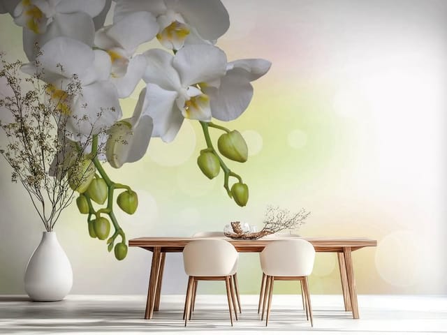 Fototapeta Białe Orchidee na Gałązce (mpn: FT-2538) Fototapeta Storczyki – białe kwiaty orchidei na gałązce