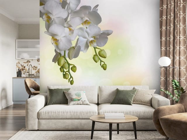 Fototapeta Białe Orchidee na Gałązce (mpn: FT-2538) Fototapeta Storczyki – białe kwiaty orchidei na gałązce
