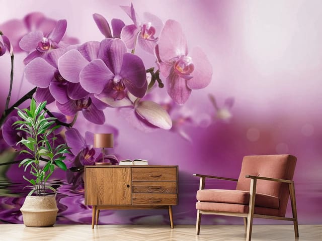 Fototapeta storczyki – fioletowe orchidee nad wodą