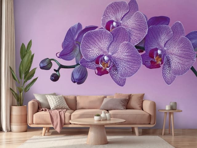 Fototapeta Fioletowe Orchidee na Różowym Tle (mpn: FT-2542) Fototapeta storczyki – fioletowe kwiaty orchidei na gałązce
