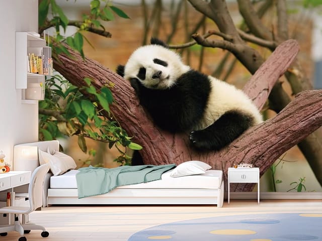 Fototapeta Zwierzęta leśne – panda leżąca na drzewie