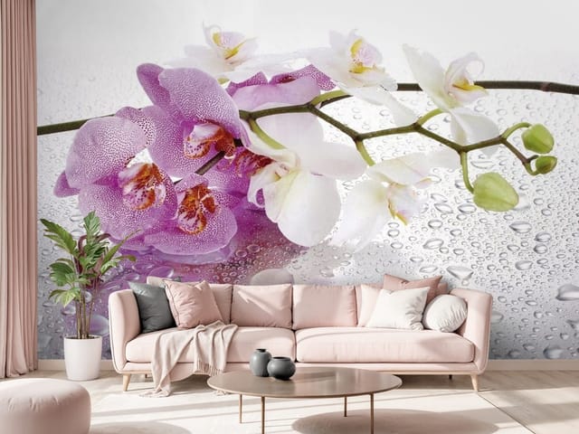 Fototapeta Storczyki na mokrej powierzchni (mpn: FT-2629) Fototapeta storczyki – kwiaty orchidei na mokrej powierzchni