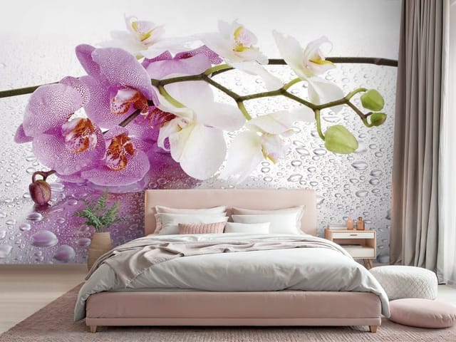 Fototapeta Storczyki na mokrej powierzchni (mpn: FT-2629) Fototapeta storczyki – kwiaty orchidei na mokrej powierzchni