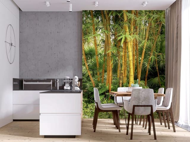 Fototapeta Zielony las bambusowy