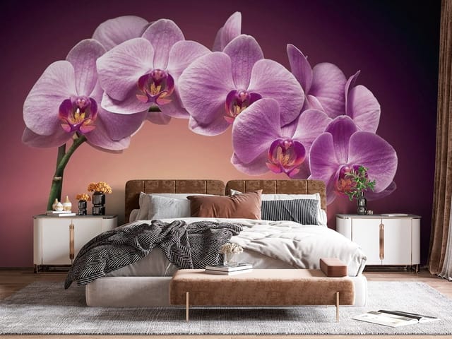 Fototapeta Fioletowe orchidee na ciemnym tle (mpn: FT-3017) Fototapeta storczyki – fioletowe kwiaty orchidei na łodydze
