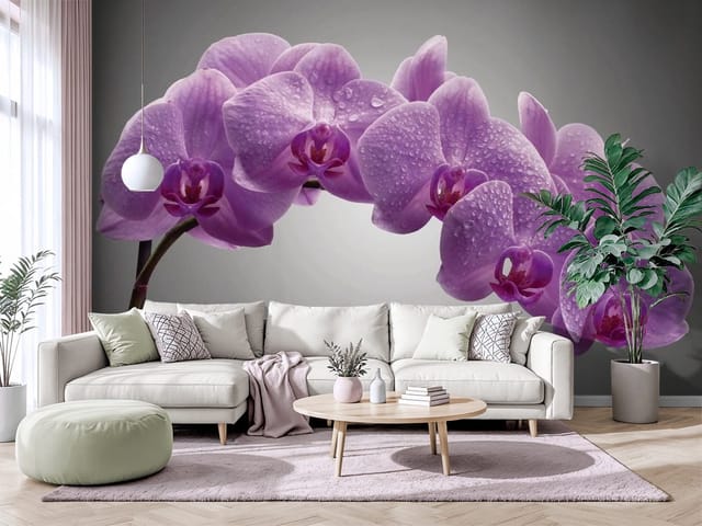 Fototapeta storczyki – Fioletowe kwiaty orchidei z kroplami wody