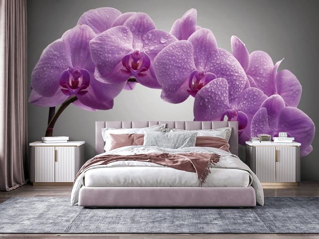 Fototapeta Fioletowe orchidee z kroplami wody (mpn: FT-3018) Fototapeta storczyki – Fioletowe kwiaty orchidei z kroplami wody