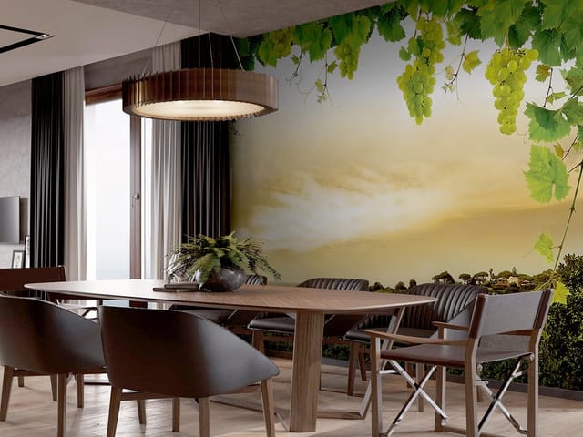 Fototapeta przedstawiająca winorośl z zielonymi liśćmi na tle zachmurzonego nieba i pól uprawnych