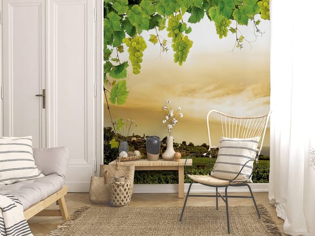 Fototapeta przedstawiająca winorośl z zielonymi liśćmi na tle zachmurzonego nieba i pól uprawnych