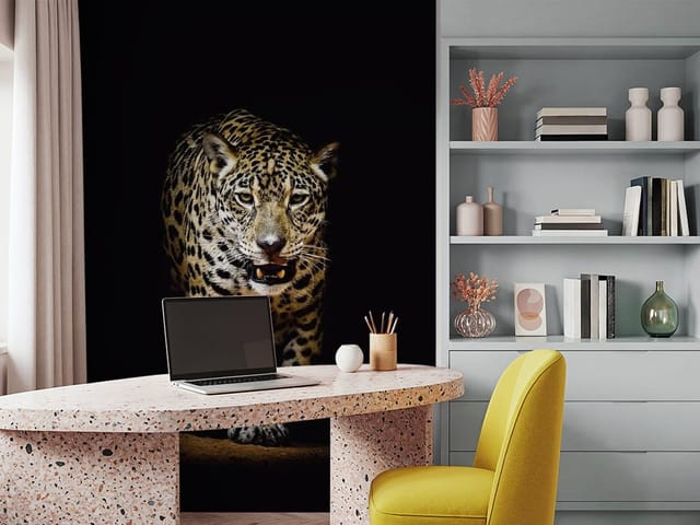 Fototapeta Tygrysy – jaguar wyłaniający się z ciemności