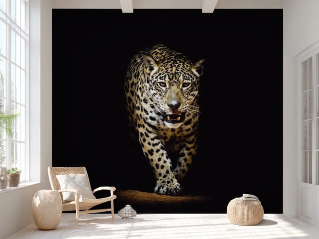 Fototapeta Jaguar w ciemności (mpn: FT-3187) Fototapeta Tygrysy – jaguar wyłaniający się z ciemności