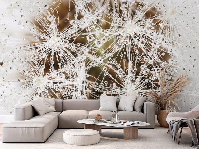 Fototapeta Makro zbliżenie dmuchawca z kroplami (mpn: FT-3457) Fototapeta dmuchawce – makro zbliżenie dmuchawca pokrytego kroplami wody