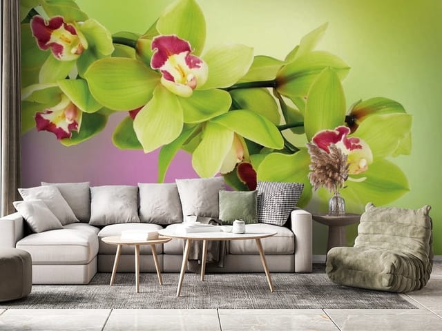 Fototapeta Zielone orchidee na gałęzi (mpn: FT-3546) Fototapeta Storczyki – zielone orchidee z różowymi wnętrzami